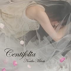 Centifolia